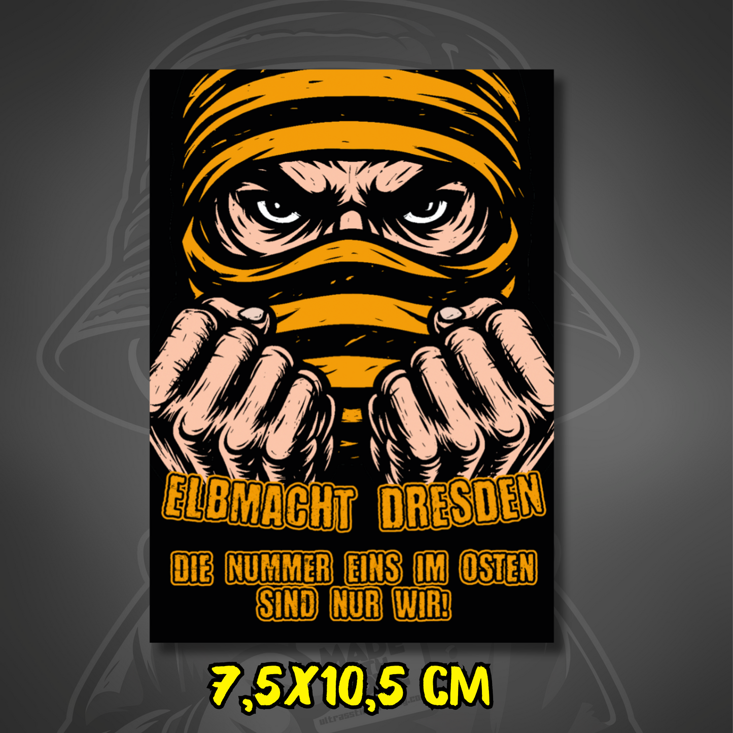 Dresden Aufkleber Elbmacht Dresden ultras-inspirierter Fan-Sticker 15x5cm wetterfest